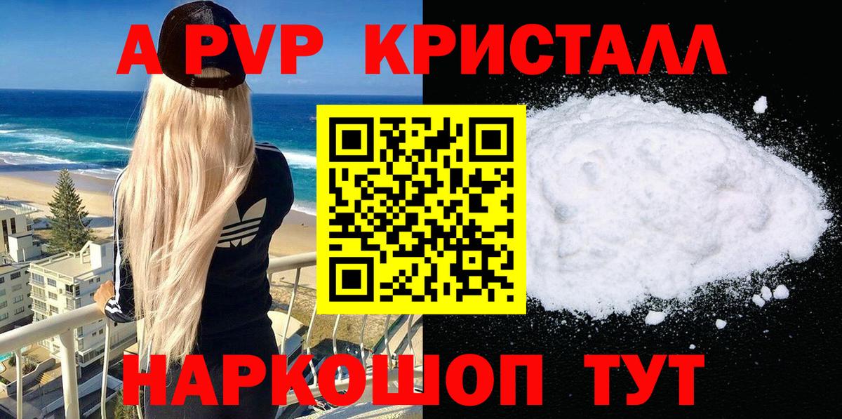 A PVP СК Сосновый Бор
