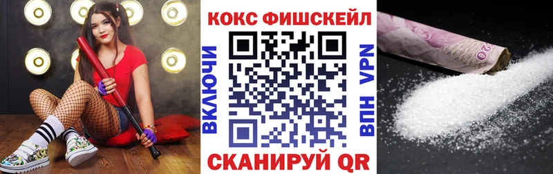 Cocaine Fish Scale  купить наркотик  Сосновый Бор 