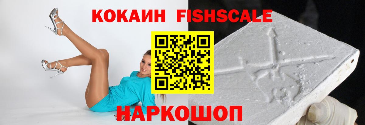 магазин продажи   Кокаин Fish Scale  Сосновый Бор  Cocaine Columbia 