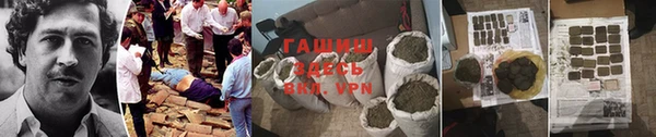 мдпв Ладушкин