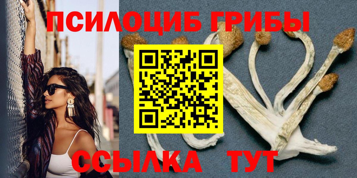 Галлюциногенные грибы Cubensis  Сосновый Бор 