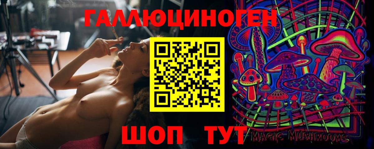 Сосновый Бор  цена наркотик  Вход с VPN  Псилоцибиновые грибы Psilocybine cubensis  Псилоцибиновые грибы ЛСД 