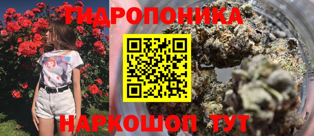Шишки марихуана SATIVA & INDICA  Бошки марихуана планчик  Бошки Шишки MAZAR  Сосновый Бор 